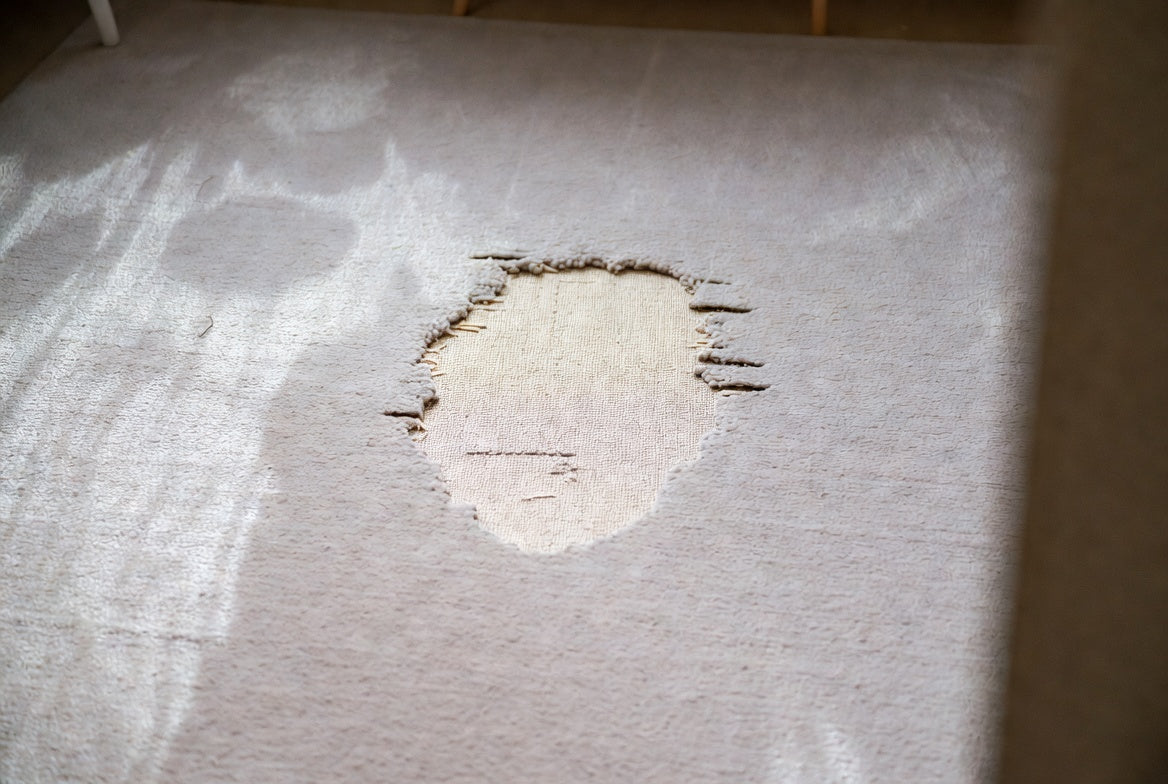 Carpet moth damage: a bald patch eaten through pale wool carpet to the backing