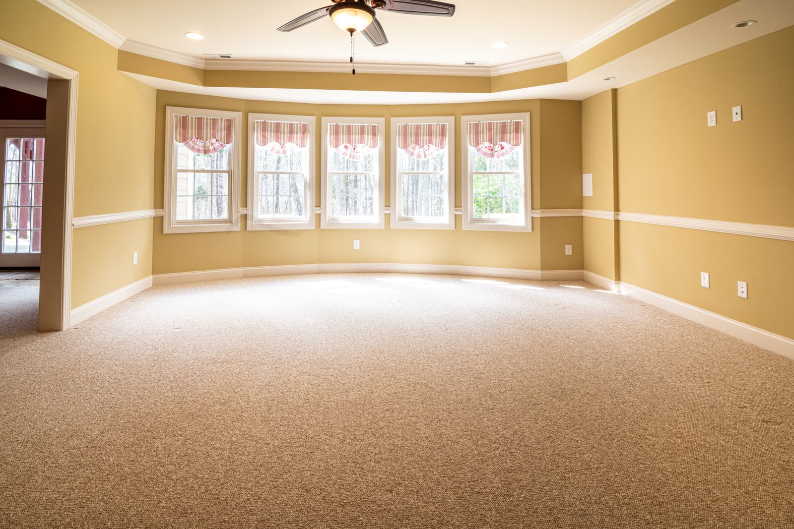 A large carpeted room with a ceiling fan and bright windows helping the carpet dry
